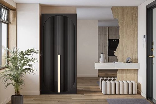 Шкаф распашной Брей-1 Чёрный - фото 1