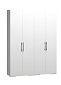 Шкаф распашной Мори-Хелена-7 Белый