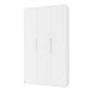 Шкаф распашной Калифорния-3 Белый