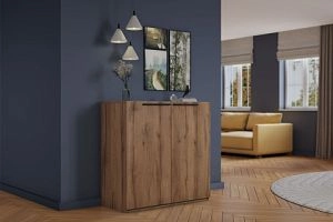 Лорена Пакс-1 Дуб Табачный