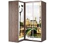 Шкаф-купе угловой Премьер-18