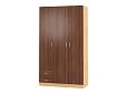 Шкаф распашной Рио-3.3
