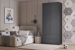 Стрекоза-2.2 Графит