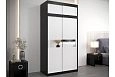 Шкаф-купе Бенито-1А Чёрный/Белый