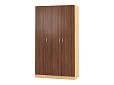Шкаф распашной Рио-3.1