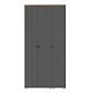 Шкаф распашной Квели 3 Графит