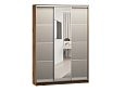 Шкаф-купе Борнео-3.4 Дуб Делано/Серебро